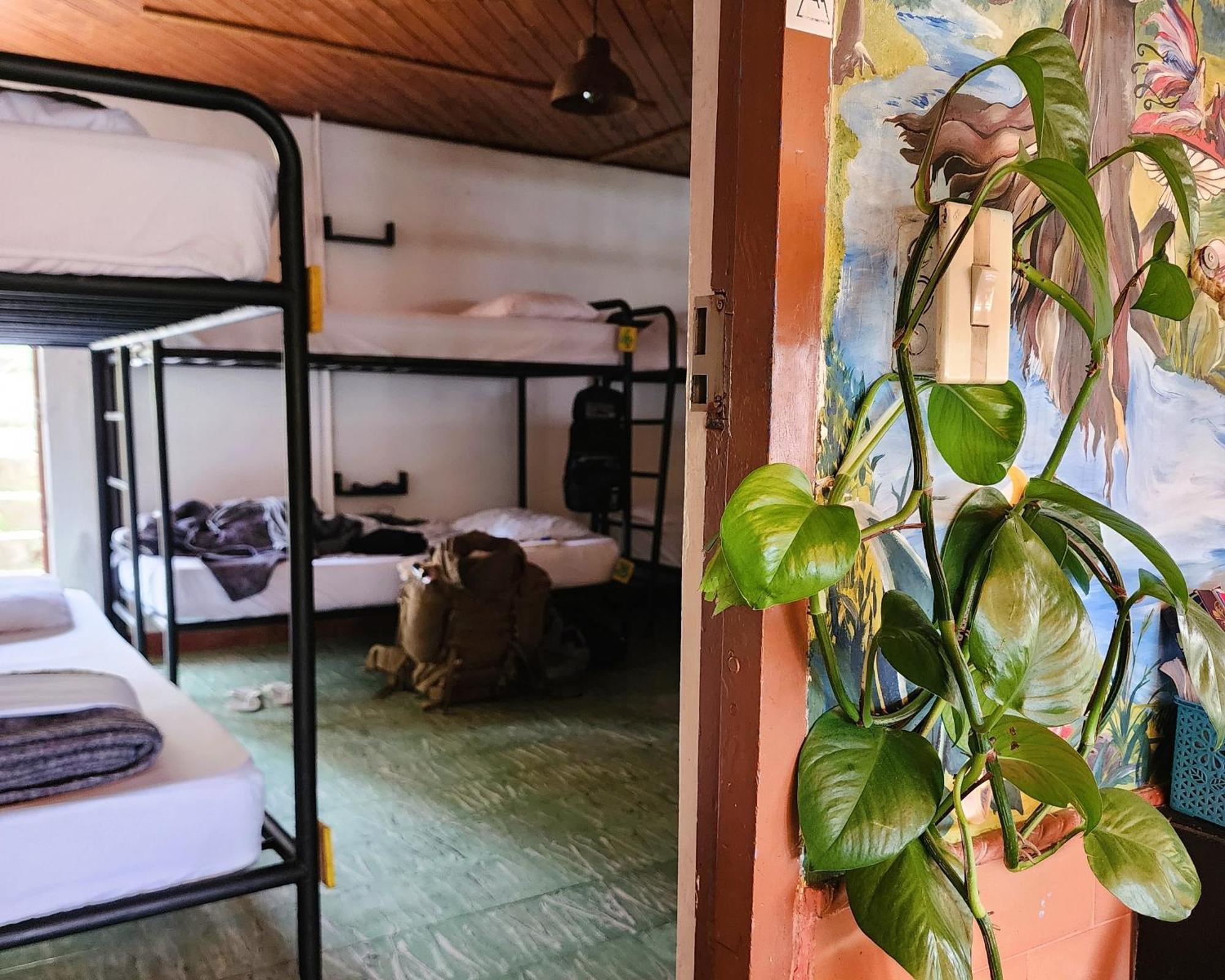 Casa Kayam Art Hostel Coliving Coworking Guatapé Exterior photo
